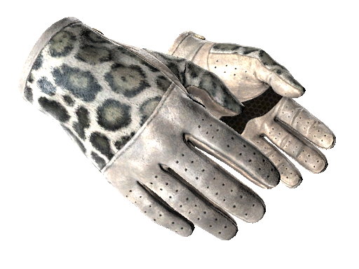 CS2 gloves skin image