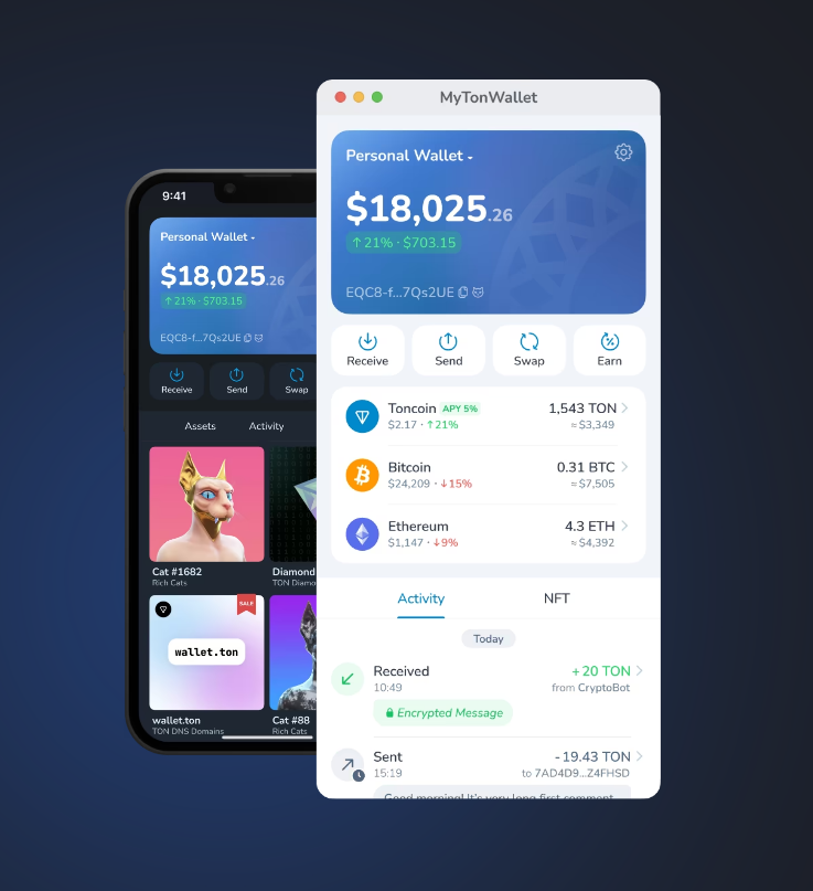 TON Storage feature in MyTonWallet